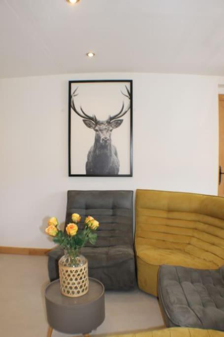 Chalet Avenir Saint-Jean-dʼAulps 외부 사진